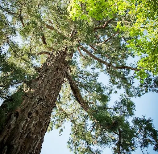 Il Etait Fois Chez Moi Panzió Le Loroux-Bottereau